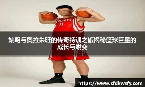 姚明与奥拉朱旺的传奇特训之旅揭秘篮球巨星的成长与蜕变