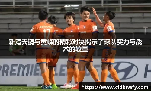新泻天鹅与黄蜂的精彩对决揭示了球队实力与战术的较量
